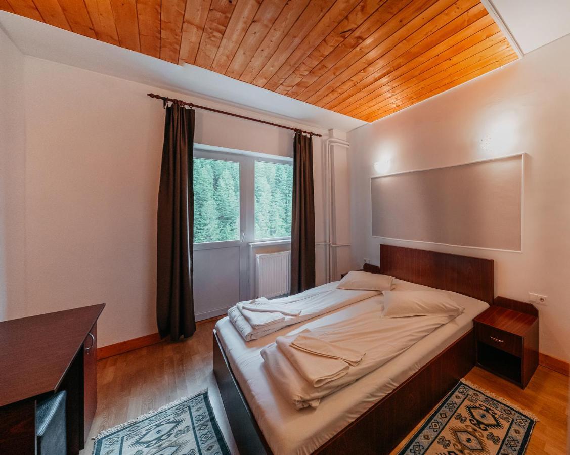 Bed and Breakfast Balea Cascada Cîrţişoara Exterior foto